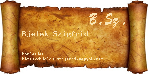 Bjelek Szigfrid névjegykártya
